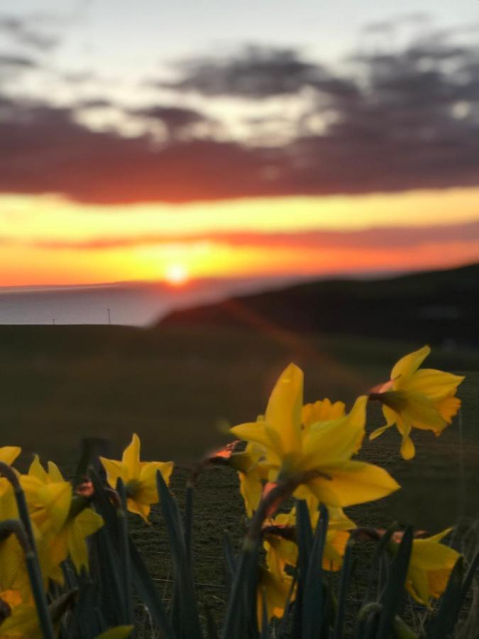 Bunnahabhain 5 - Farm Stay - Stunning Sea And Rural Views Stranraer Kültér fotó