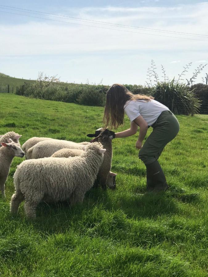 Bunnahabhain 5 - Farm Stay - Stunning Sea And Rural Views Stranraer Kültér fotó