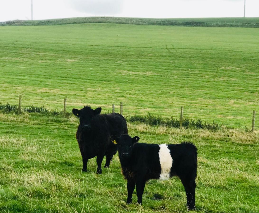 Bunnahabhain 5 - Farm Stay - Stunning Sea And Rural Views Stranraer Kültér fotó