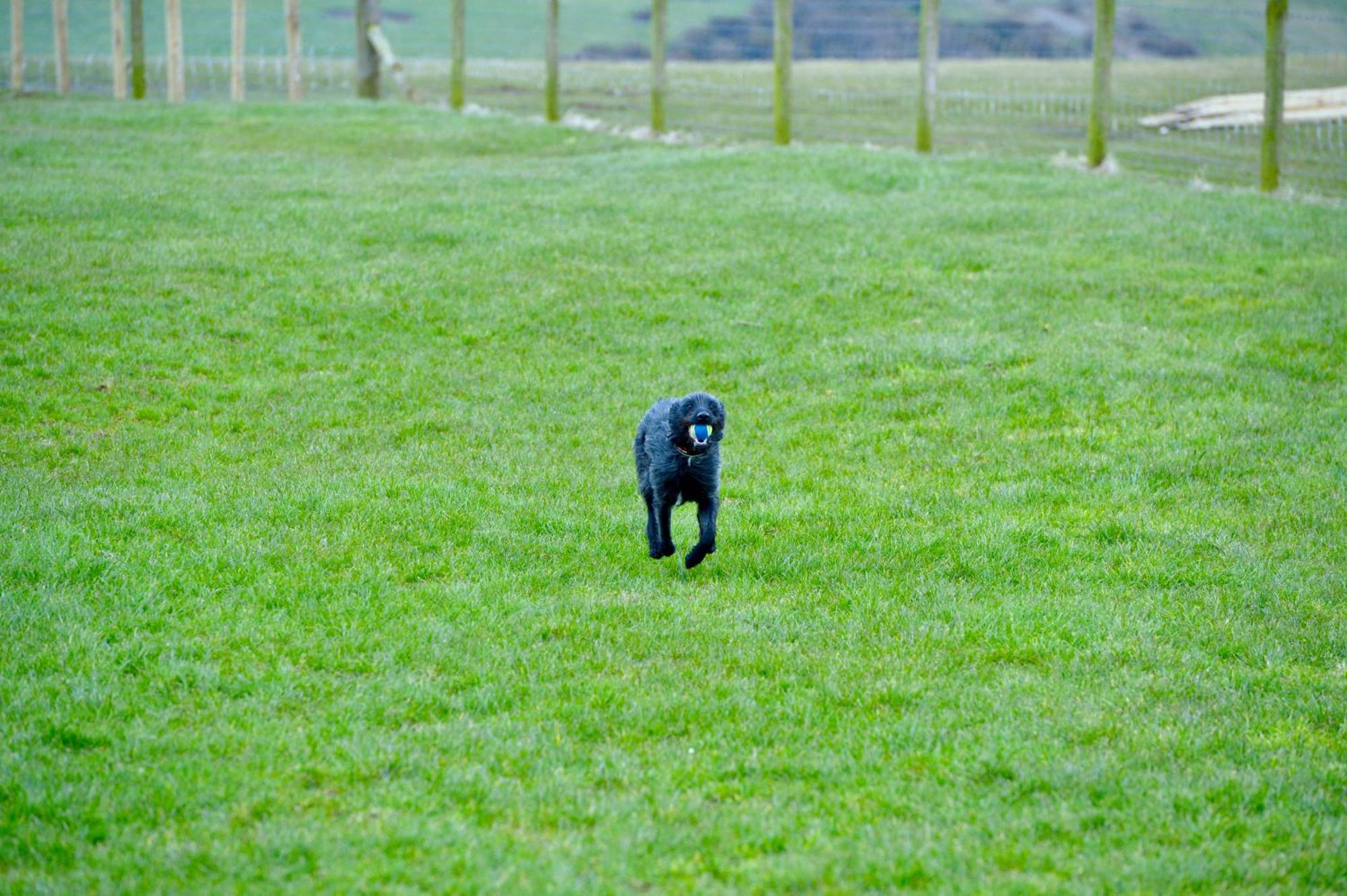 Bunnahabhain 5 - Farm Stay - Stunning Sea And Rural Views Stranraer Kültér fotó